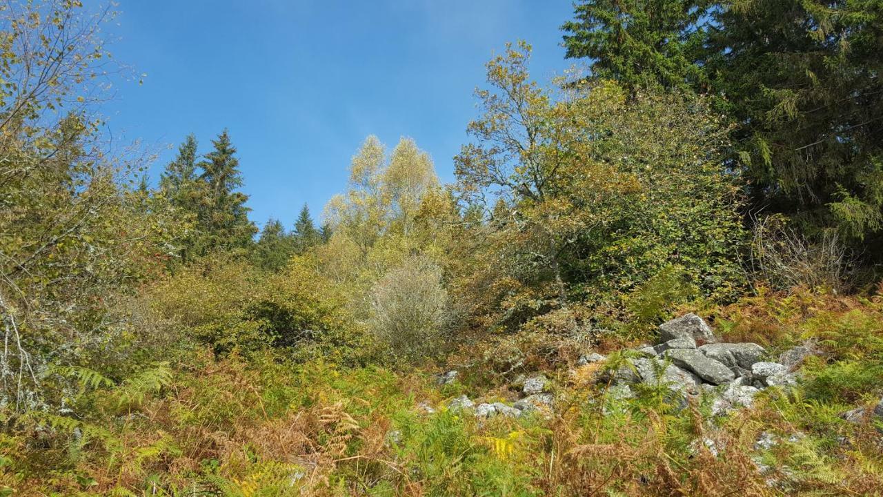 Gite De Sauviat 25 Chemin Du Grand Pacher Le Bourg De Sauviat 63120 Exterior foto